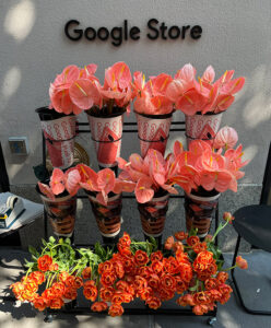 Google NYC Store Gave Away Free Flowers