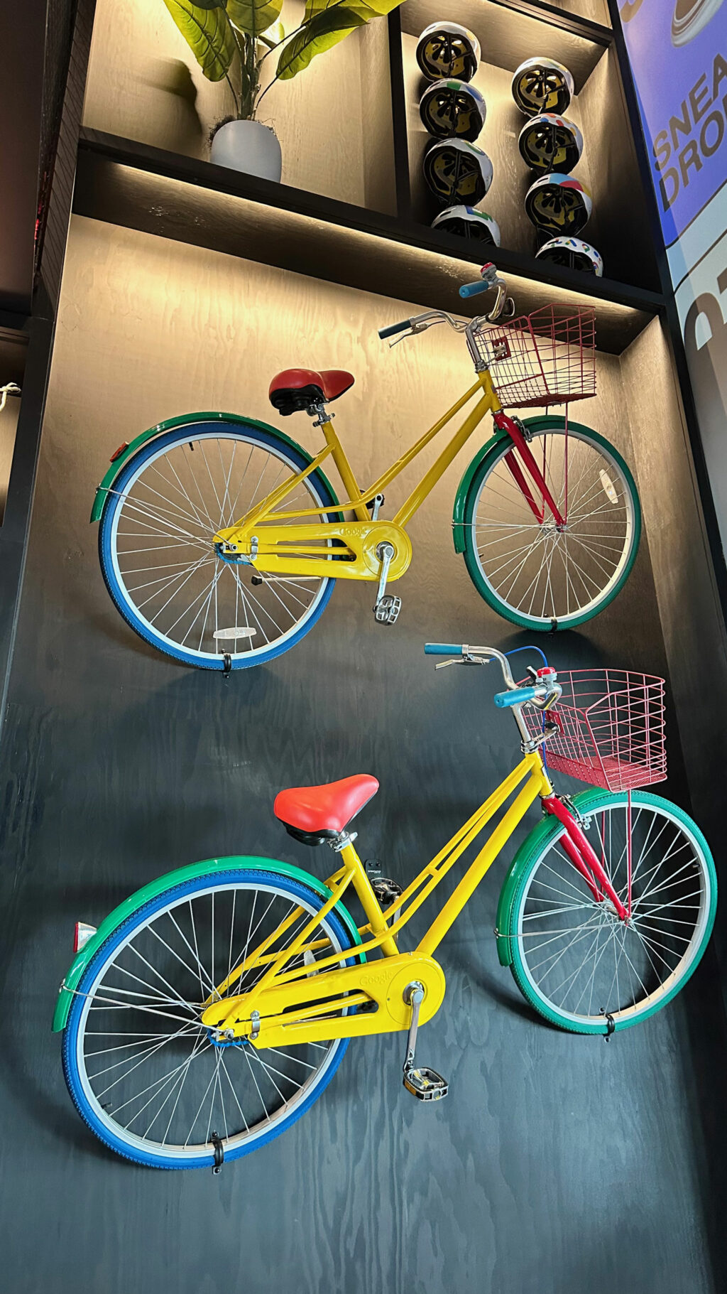 Google Bikes On Google Wall
